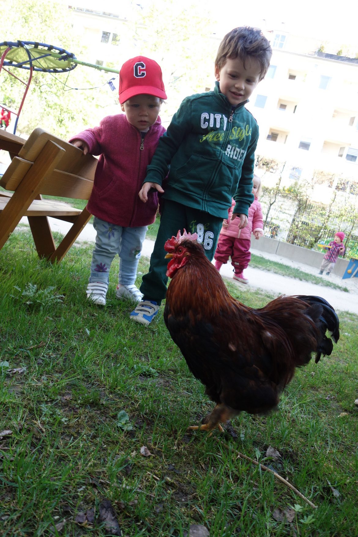 DSC00093-e1524567434137.jpg
