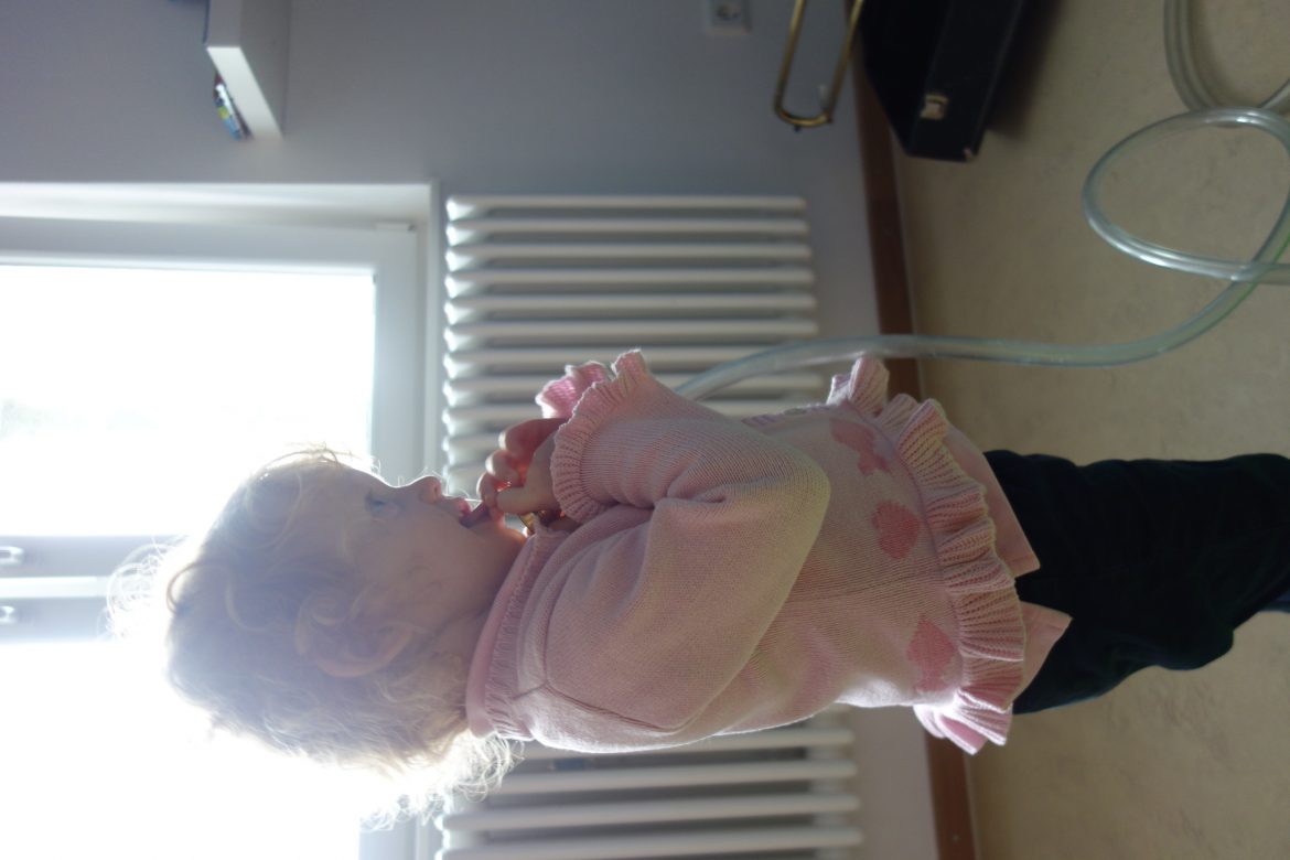 DSC00470.jpg