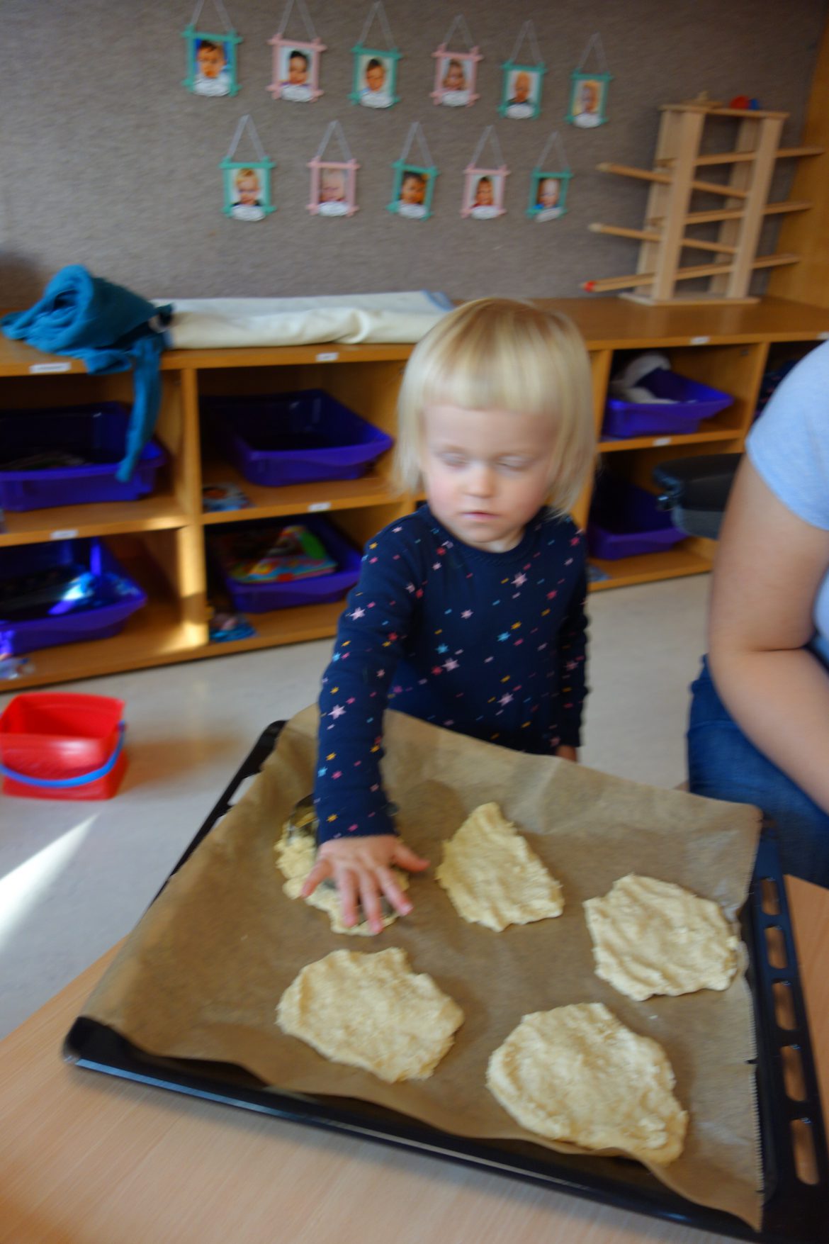 DSC09865-e1541767664541.jpg