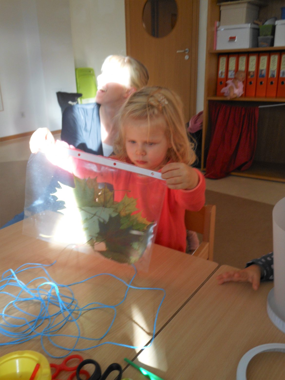 DSCN2529.jpg