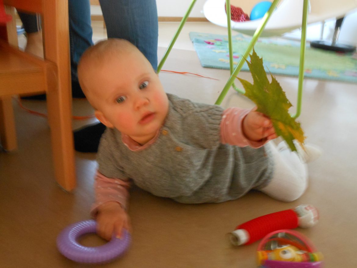 DSCN2544.jpg