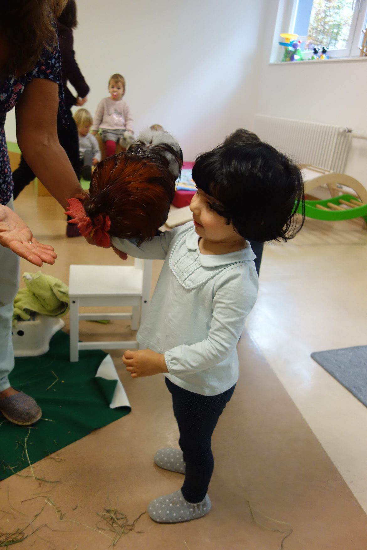 DSC06658-e1572348924878.jpg
