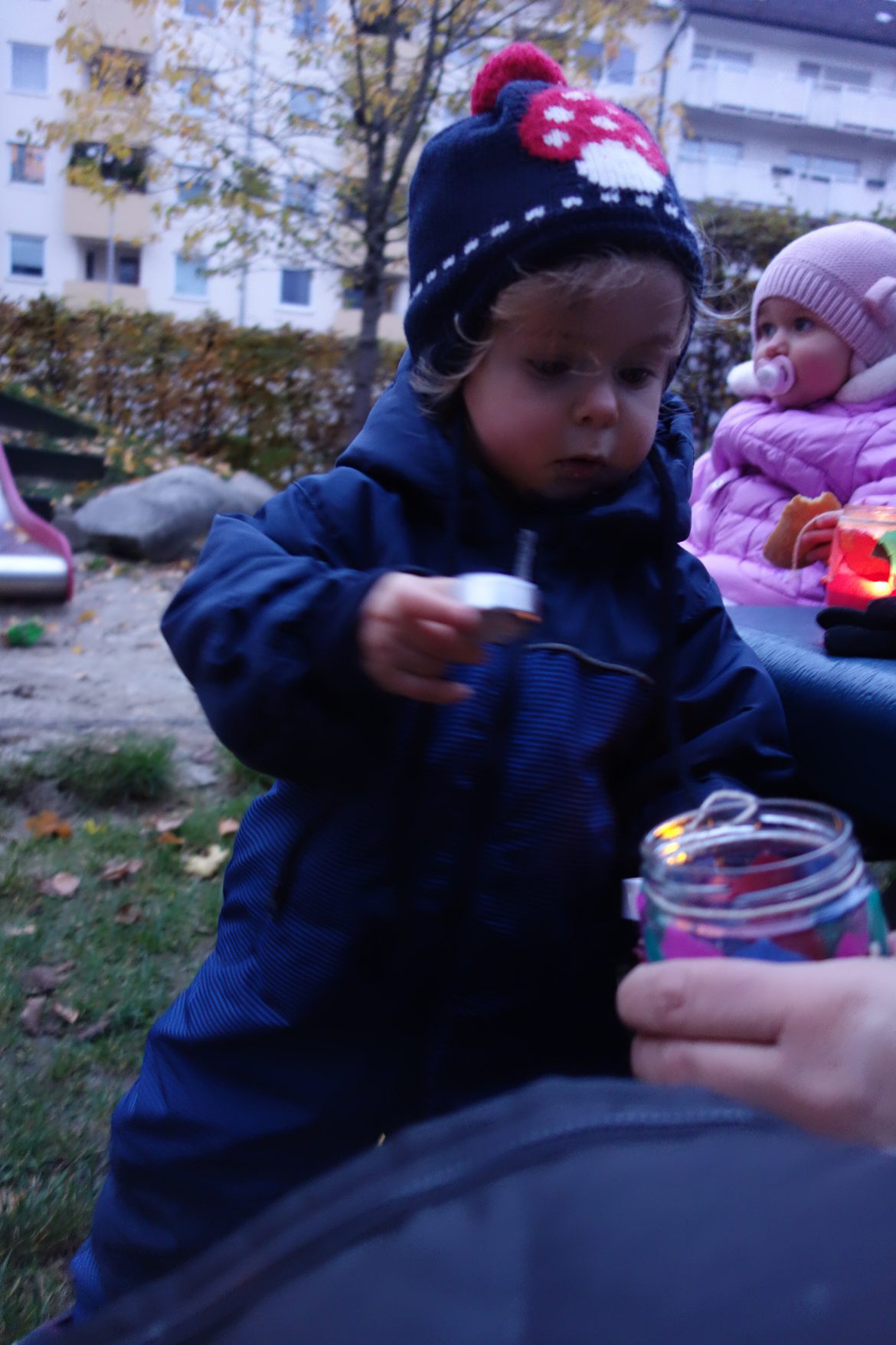 DSC07088-e1573555924740.jpg