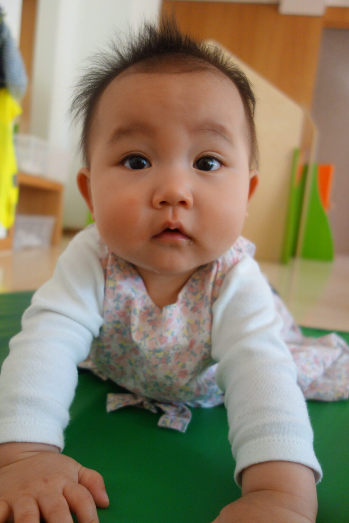 DSC09580-scaled.jpg